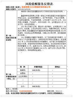 平阳税务服务